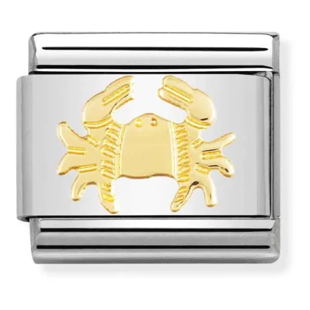 Nomination Composable Classic l&auml;nk f&ouml;r cancer i f&ouml;rgylld rostfritt st�l