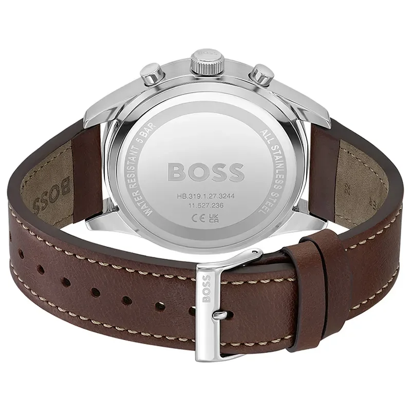 Boss View Chronograph 1513988