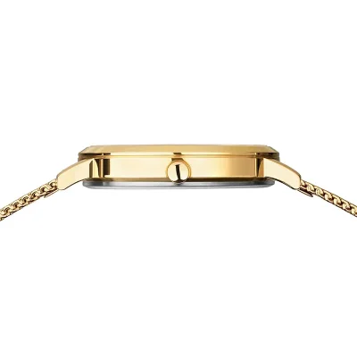 BERING WATCH TITANIUM GOLD