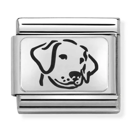 NOMINATION  Silver dog 330109_06