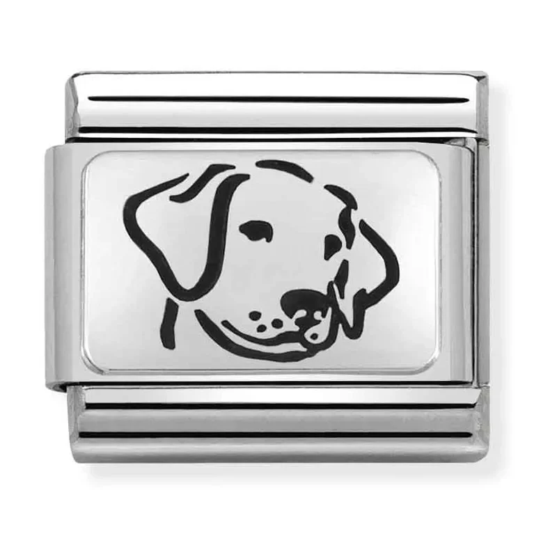 NOMINATION  Silver dog 330109_06