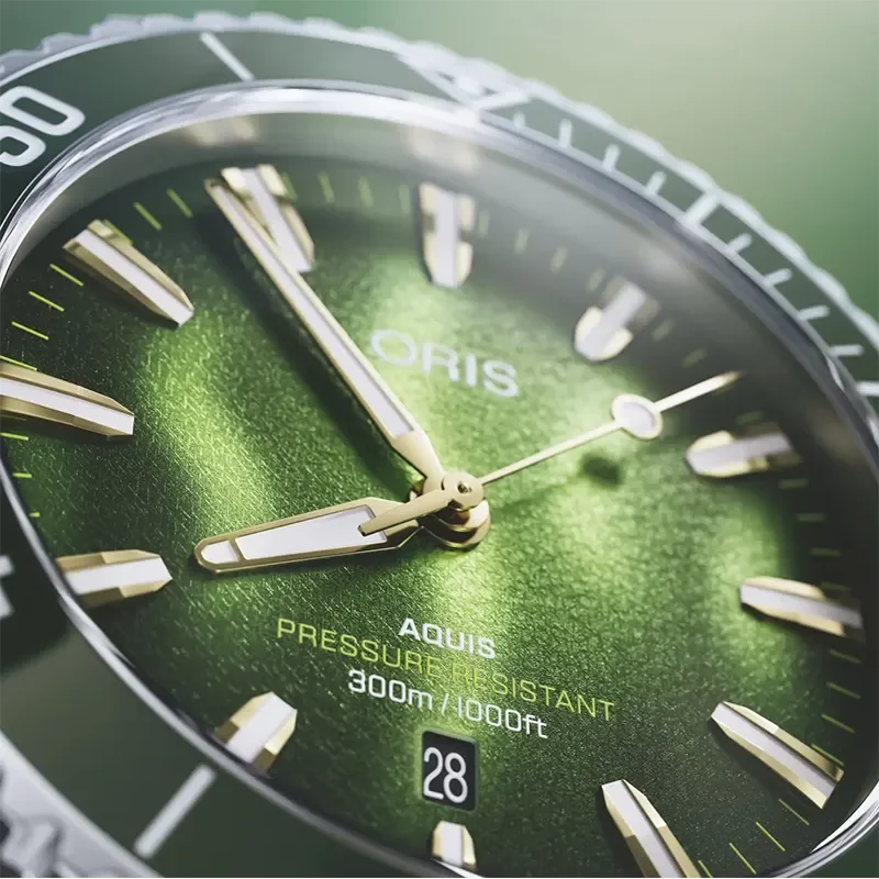 ORIS AQUIS DATE KELP FOREST