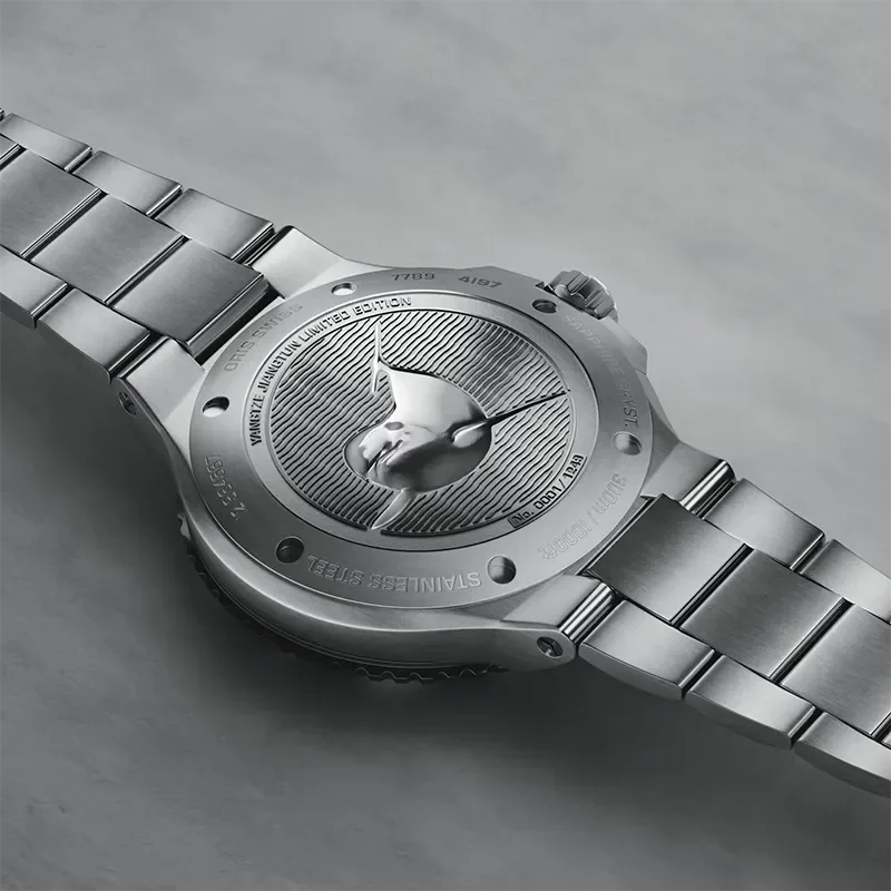 ORIS AQUIS YANGTZE JIANGTUN L.E., 43,5MM