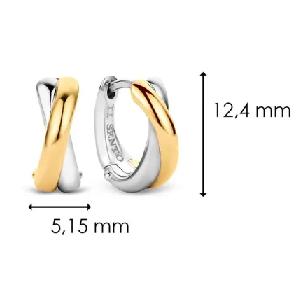 TI SENTO Milano Örhängen 7667SY