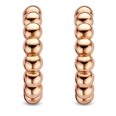 TI SENTO Milano Örhängen 7825SR