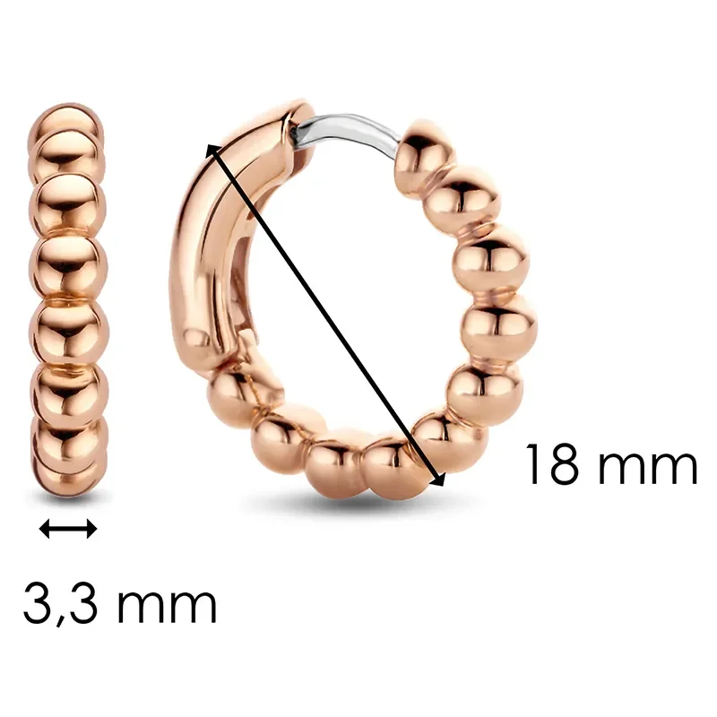TI SENTO Milano Örhängen 7825SR