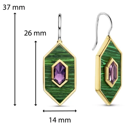 TI SENTO Milano Örhängen 7941MA