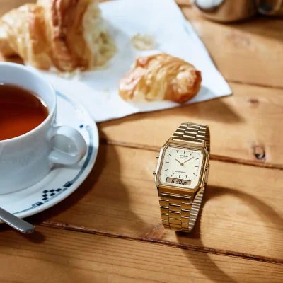 Casio Collection Vintage AQ-230GA-9DMQYES