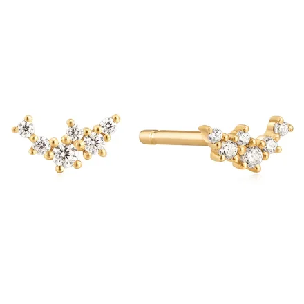 Ania Haie 14 KT Dubbar Örhängen NATURAL DIAMOND EAU009-05YG