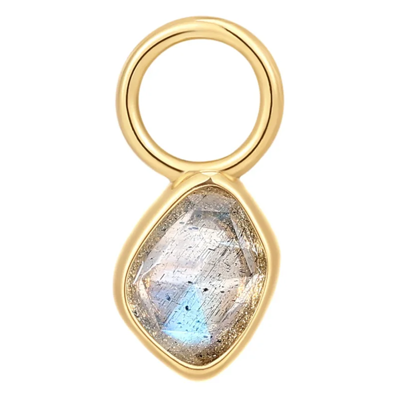 Ania Haie Örhänge Charm LABRADORITE EC048-07G