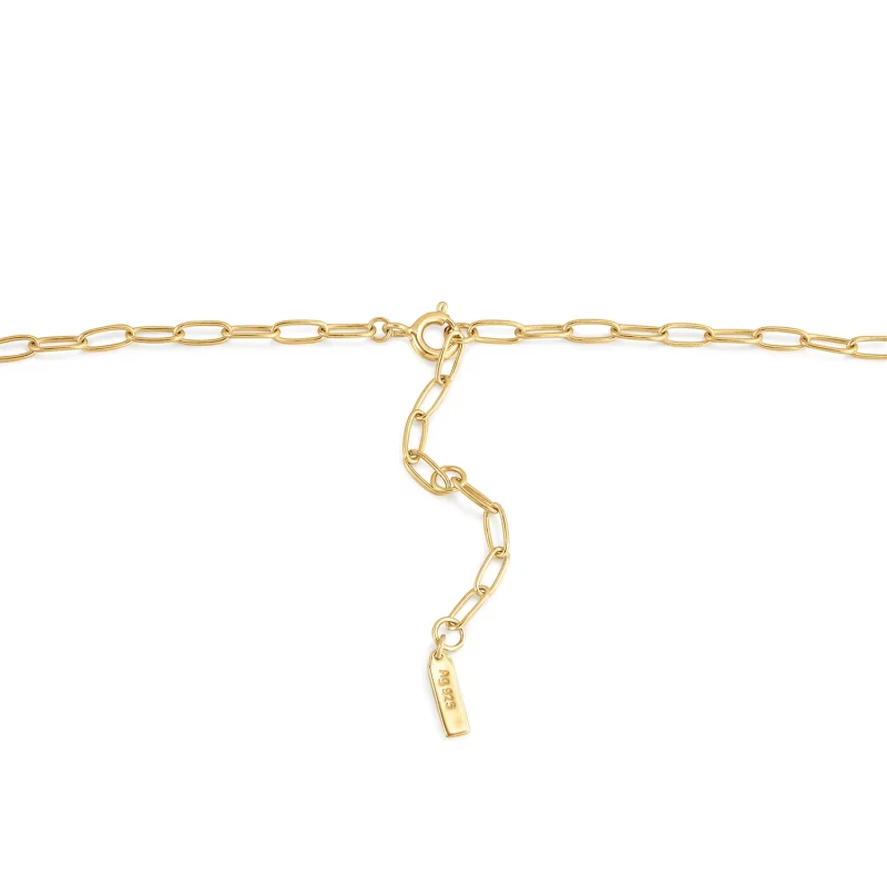 Ania Haie Halsband Charm CHAIN N048-02G