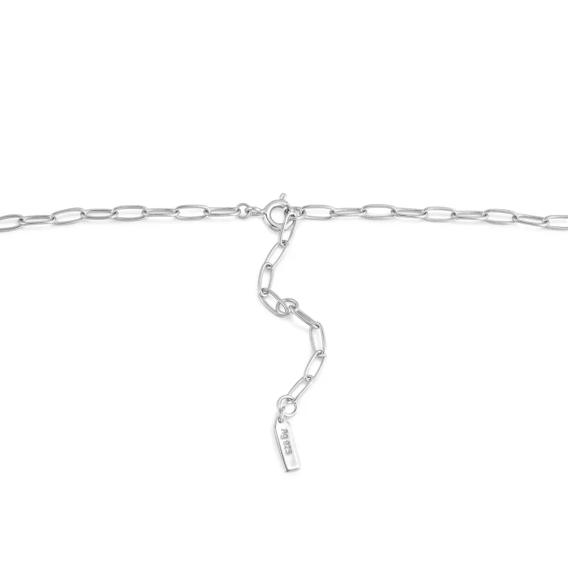 Ania Haie Halsband Charm CHAIN N048-02H