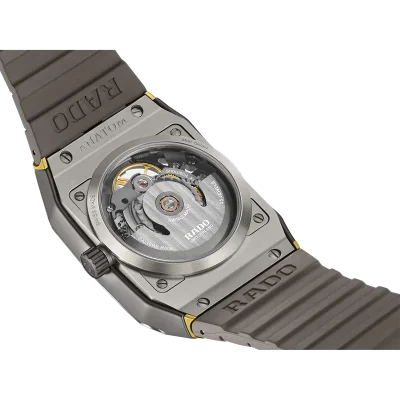 L WATCH ANATOM A,SKEL.PLASMA