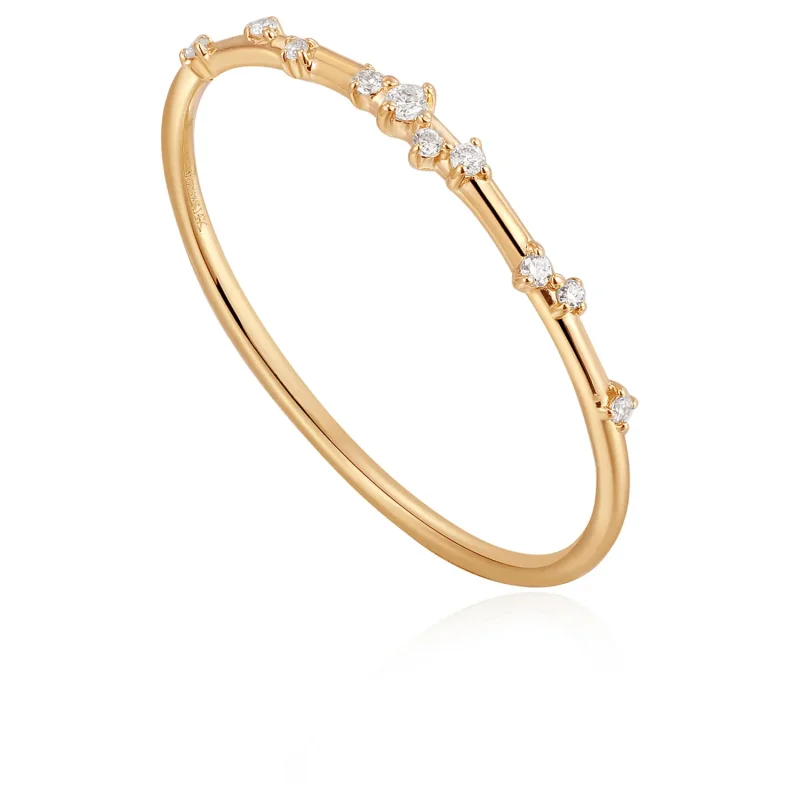 Ania Haie 14 KT Guld Ring RAU002-01YG 54
