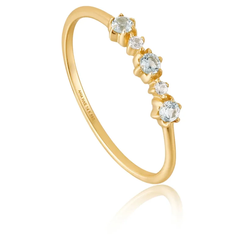 Ania Haie 14 KT Guld Ring RAU006-01YG