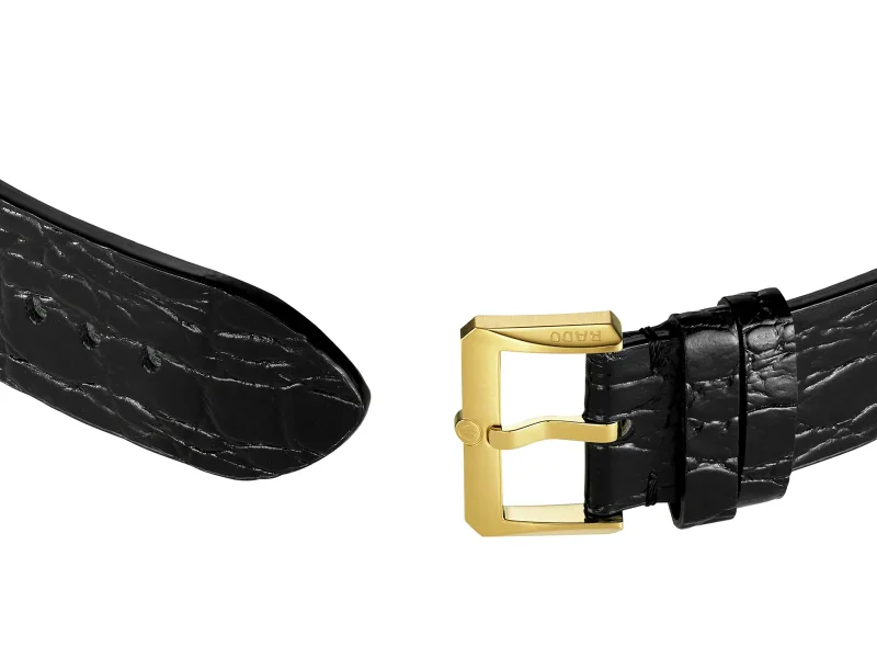 Rado Captain Cook x Marina Hoermanseder Heartbeat R32117708